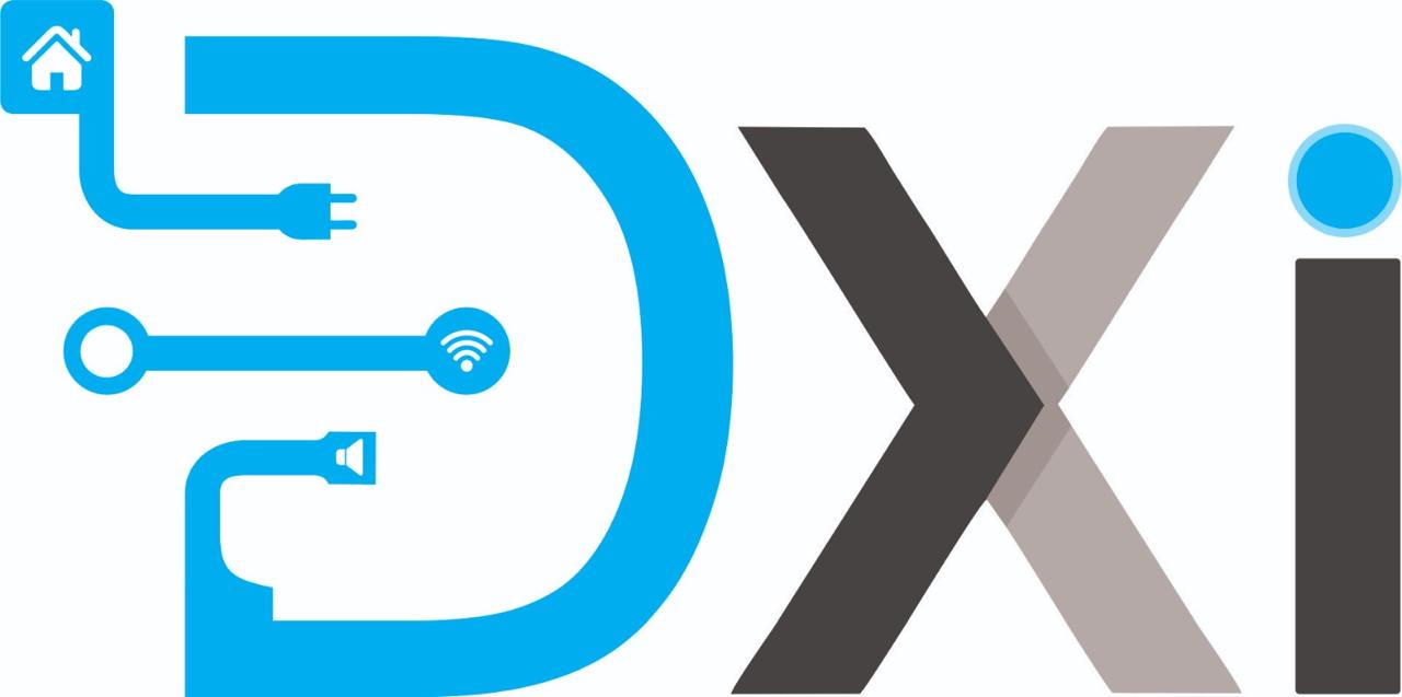 Logo de D-XI Soluciones IoT